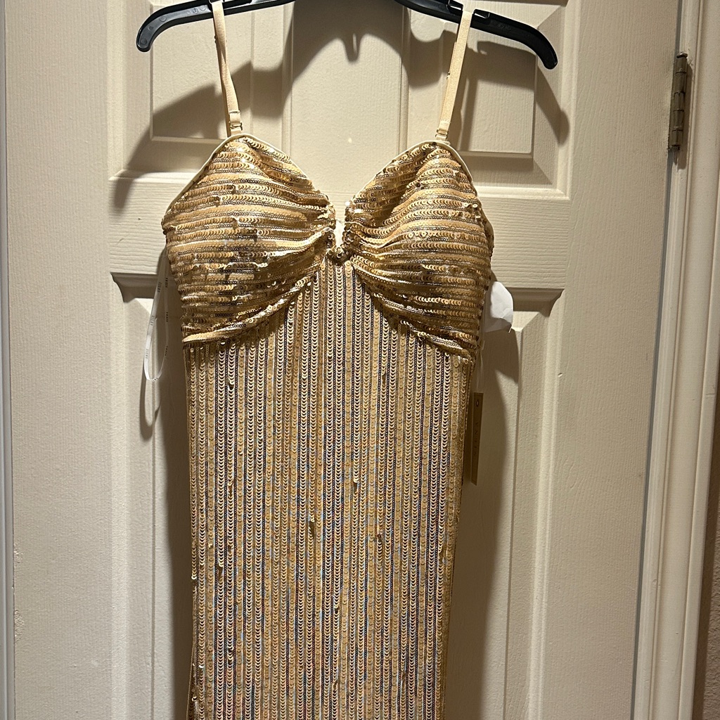 Gold Sequin Fringe Strapless Slip Dress